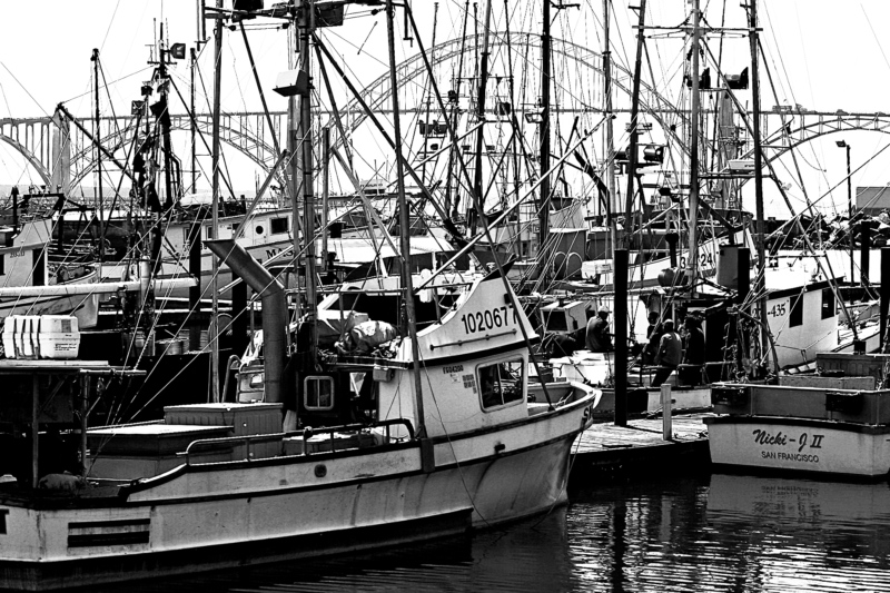 Fishing boats