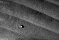 drop