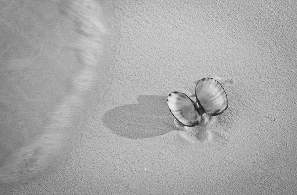 Gift from the Sea