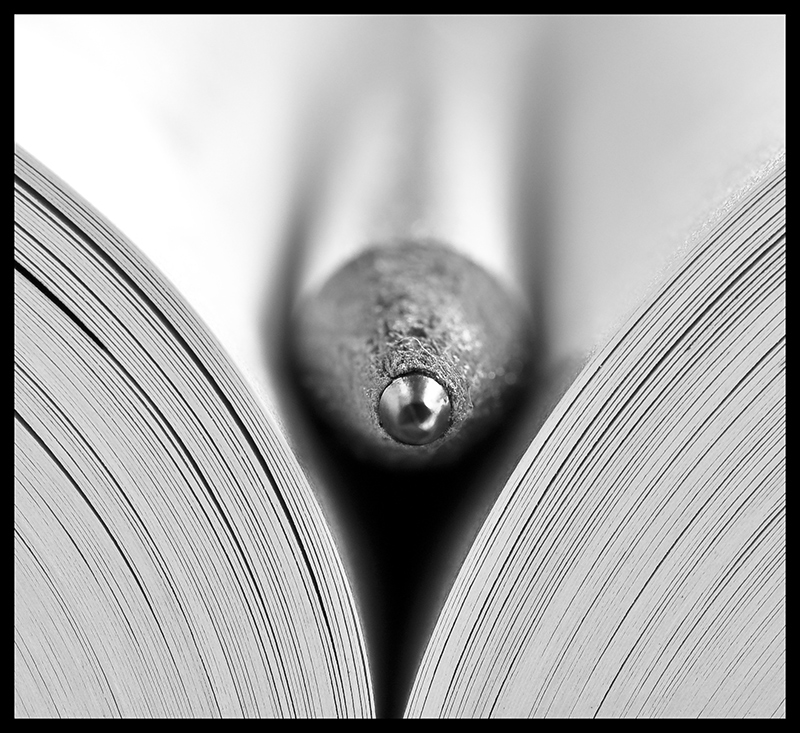The black&white study