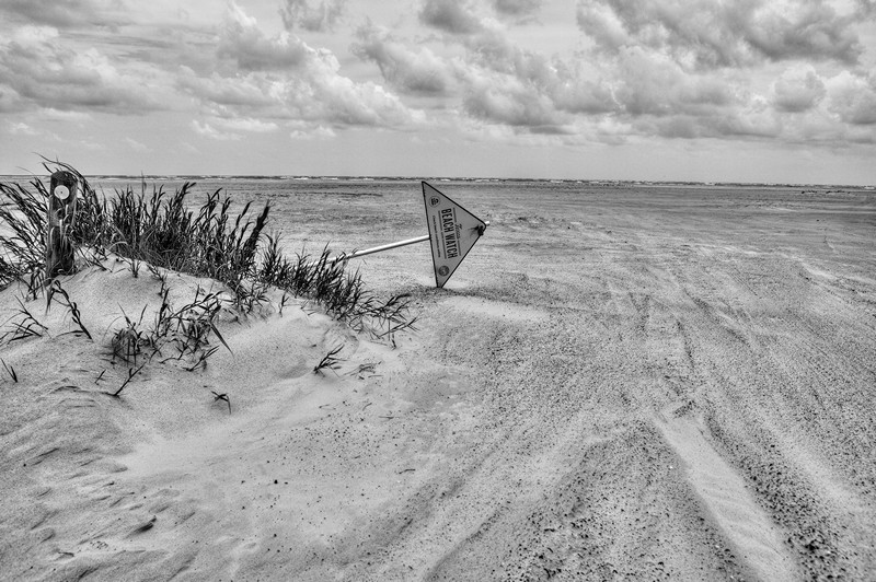  Desolate Future
