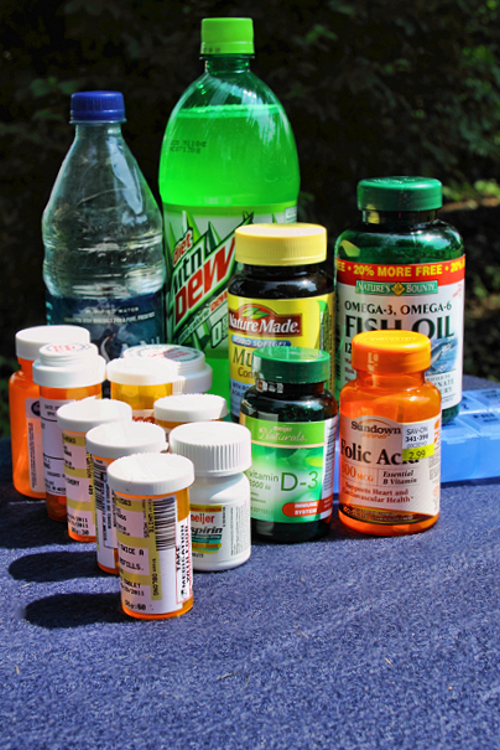 Pharmaceutical Picnic for Seniors