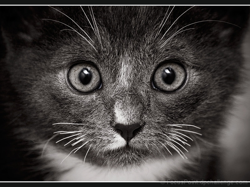 I am just a baby!