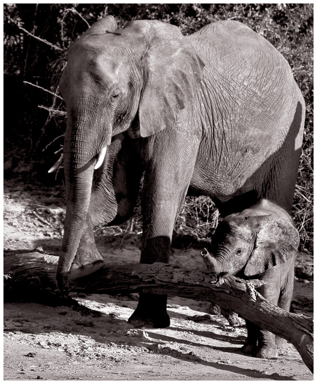 Help mommy?