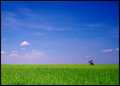 Clean Energy !!