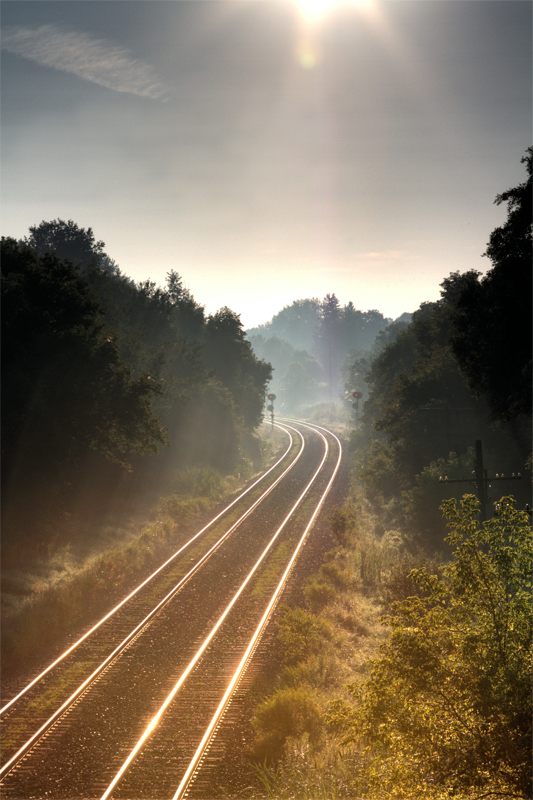 Early morning Drive