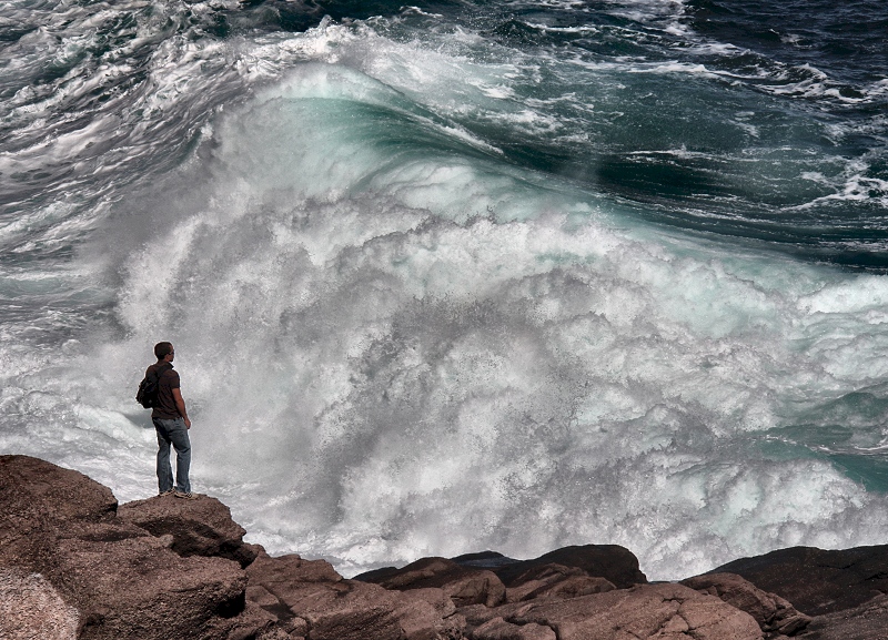 The Wave Watcher