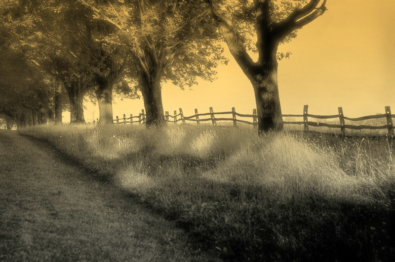 Early Evening Magic