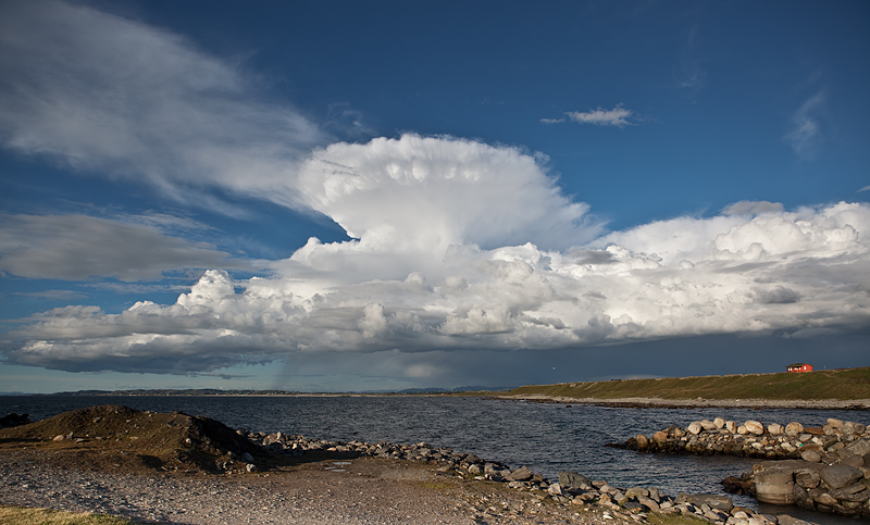 Mushroom Cloud