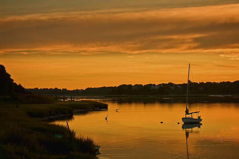 Midsummer Dawn, Feeding Egrets