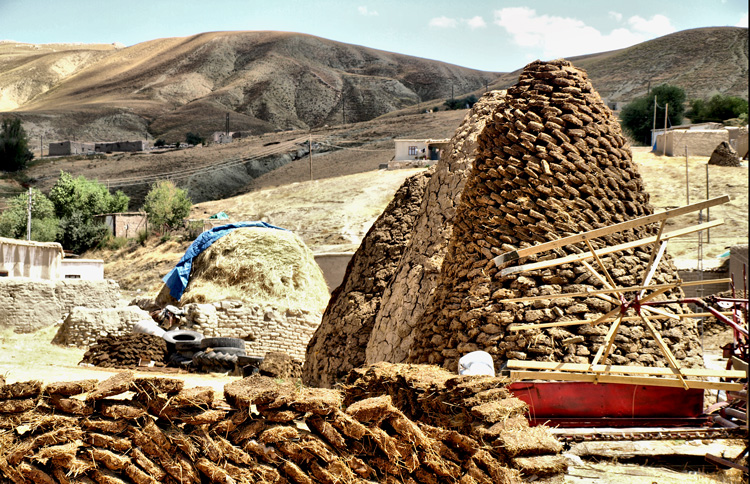 Dried cow dung (used as fuel)