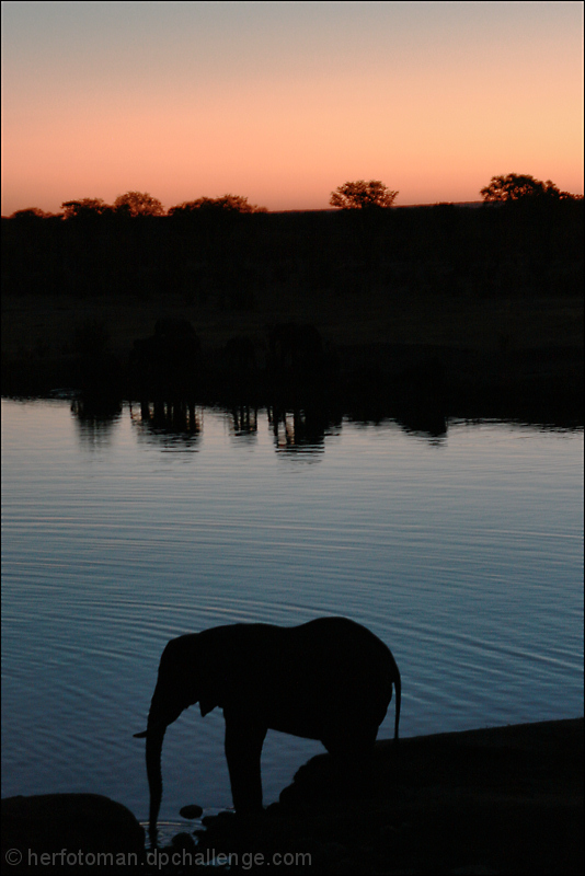 Silhouettes