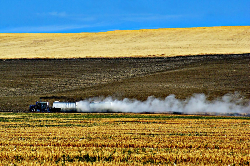 Dust over the road