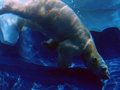 Underwater