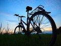 Don't underestimate the positive effect of bike riding - on your waistline and the environment!