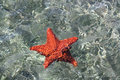 Underwater Star