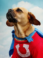 UNDERDOG- Here he comes to save the day!