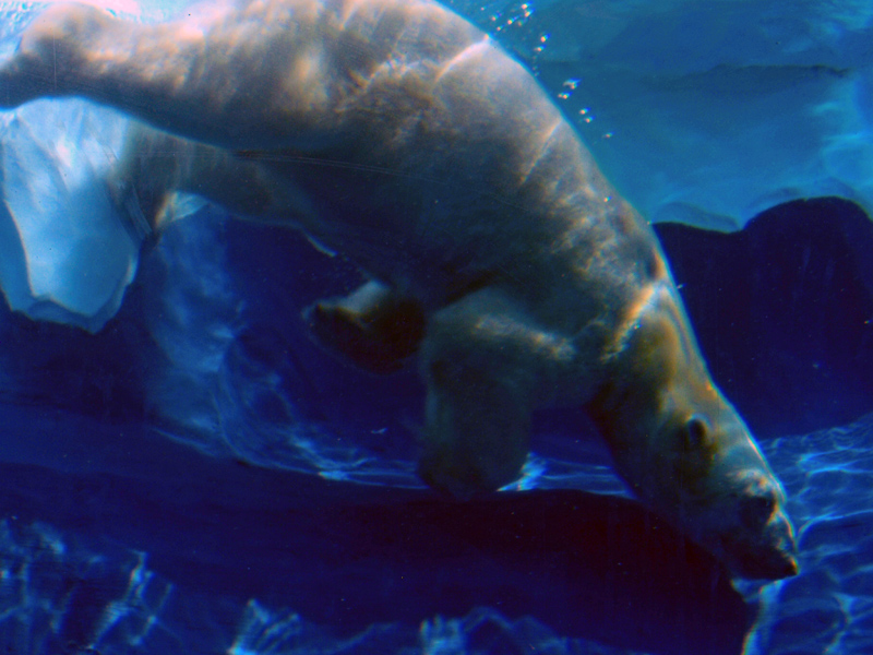 Underwater
