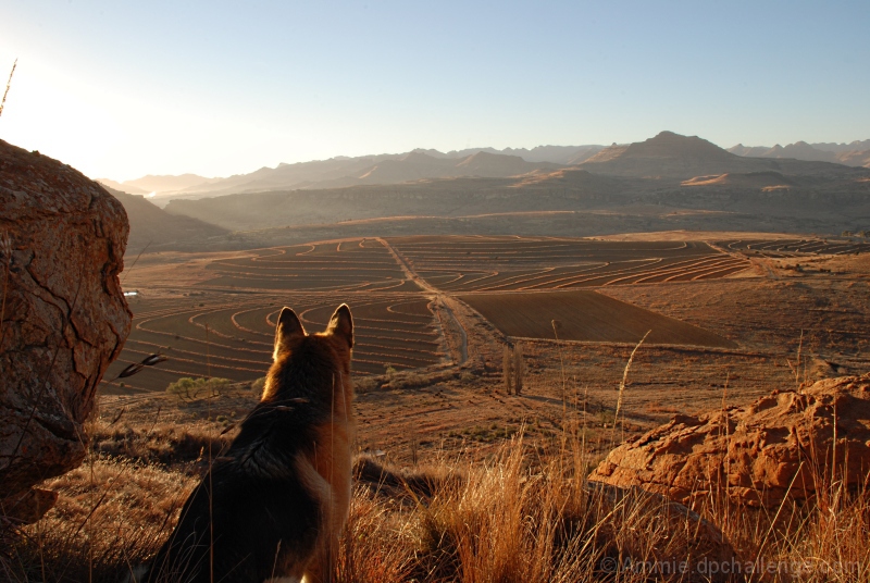 The Valley Underneath