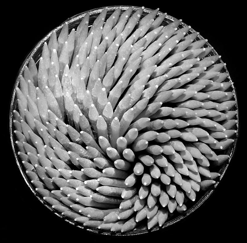 toothpicks