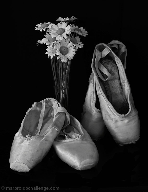 Memories of a Ballerina