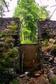 OLD DIG