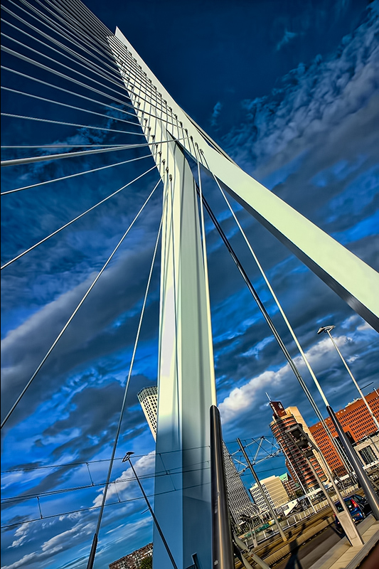 The Erasmus bridge in Rotterdam