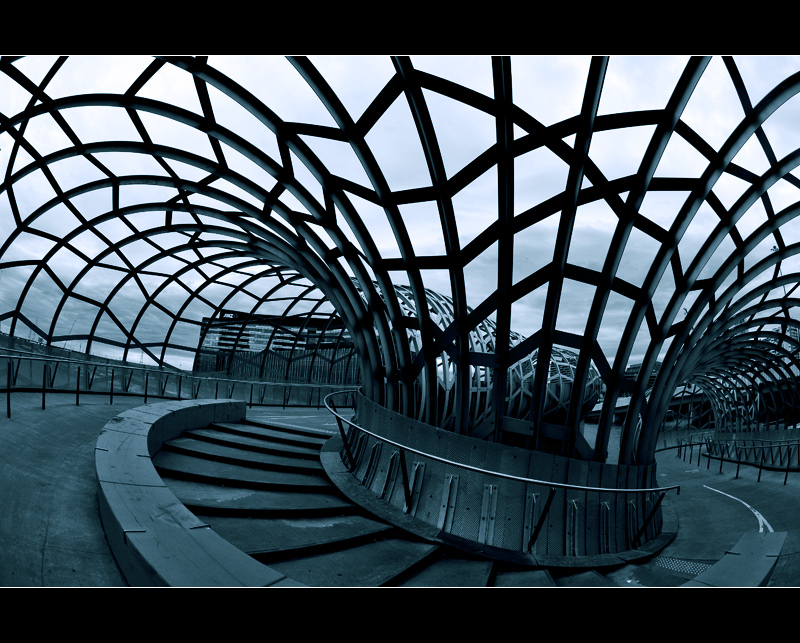 The Web We Have Woven