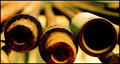 Rusted Pipes