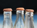Rusty Bottle Caps