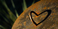 long time, no love