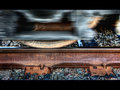 Rusted rail, rusted wheel