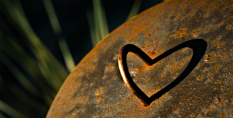 long time, no love