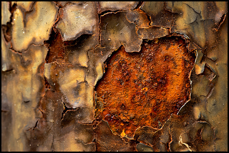 Macro Rust