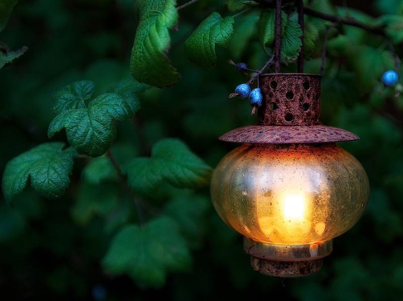 How does your garden glow?