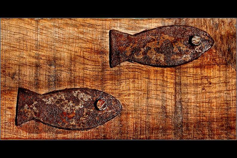 One Fish - Rust Fish