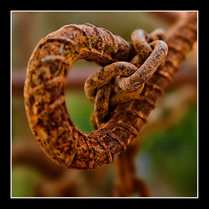 - RUST TOGETHER -