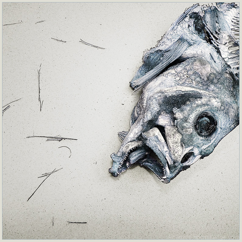 Cod is dead.   -Nietzsche