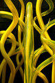 Abstract In Yellow