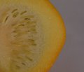 fruit of sunshine
