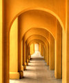 Yellow Arches