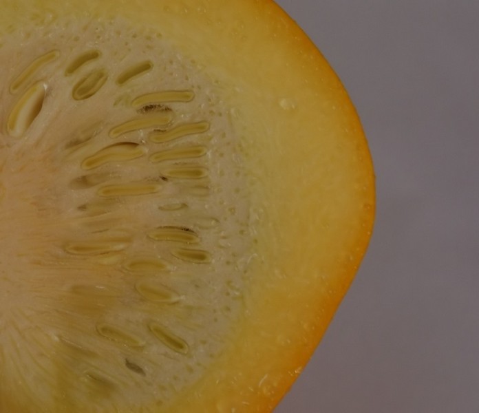 fruit of sunshine