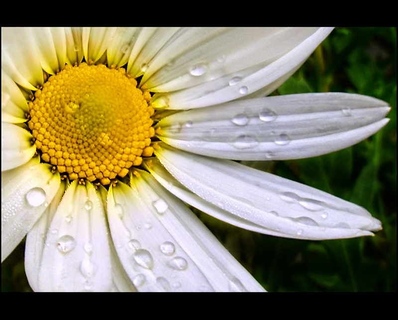 Sunshine in the Rain
