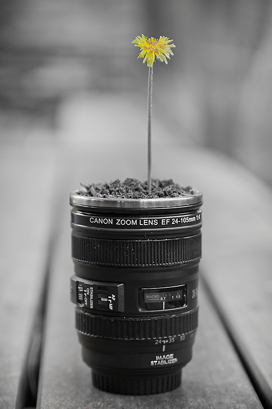 1000-Dollar Flower Pot