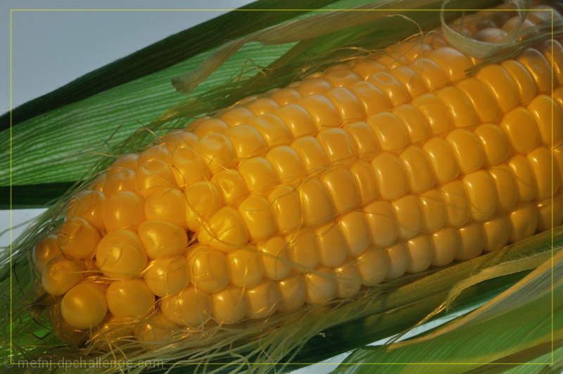 A-maize-ing Yellow (corny, i know)