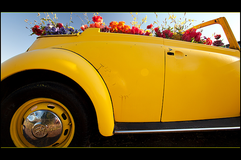 Flower Power