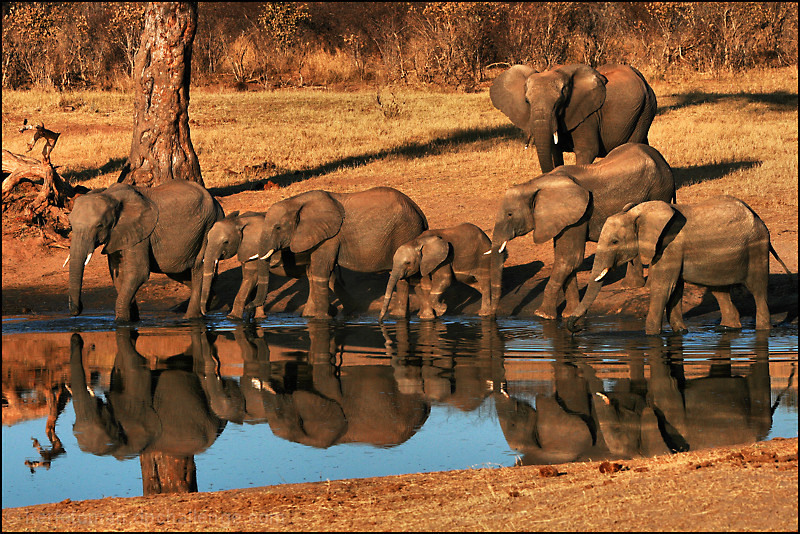 Family trip to the mudpool