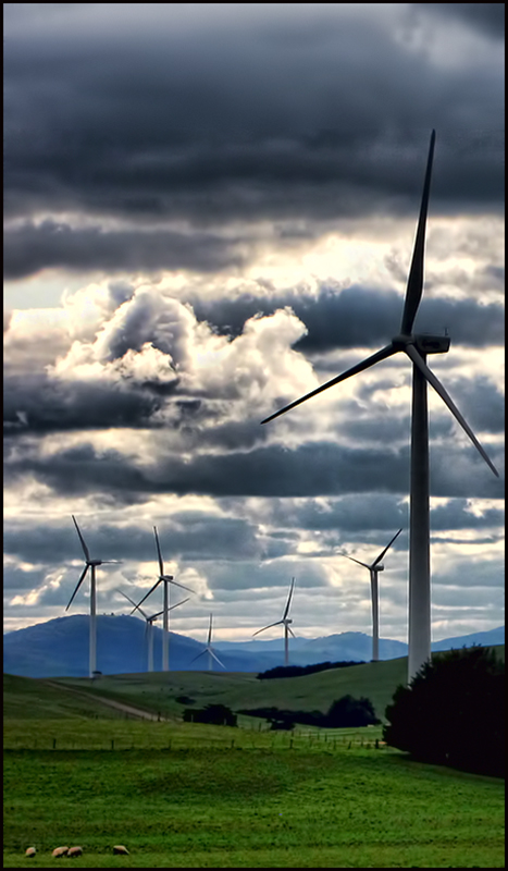 Wind Turbines on a Windless Afternoon