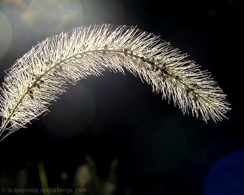 backlit