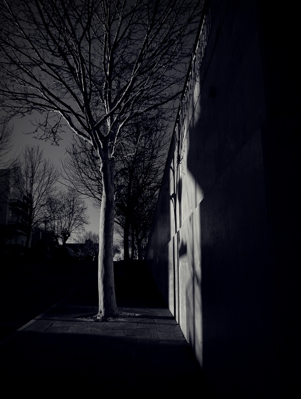 The Dark Avenue